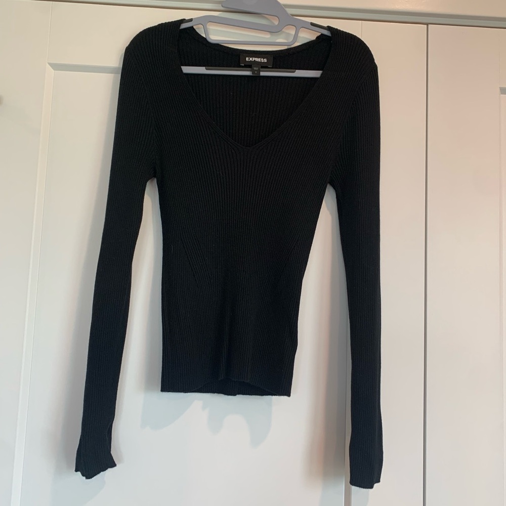 Black Express Fitted Vneck Sweater